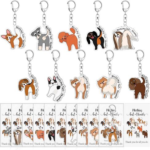 Cunno Vet Tech Technal Gifts Funny Dog Acrylic Keychains with strid stard card to the peterinist in Kuwait