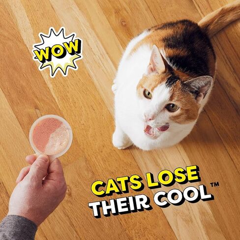 Temptations Lickable Spoons Adult Wet Cat Treat, Tasty Chicken and Cheesy Cheese Flavor, 10 Grams, Pack of 24 (96 Total Treats) in Saudi Arabia
