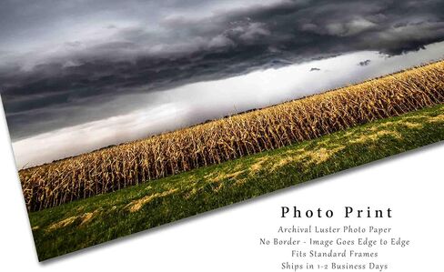 Country Photography Print (Not Framed) Picture of Storm Over Withered Corn Field on Stormy Autumn Day in Kansas Farm Wall Art Farmhouse Decor (12" x 18") in Saudi Arabia