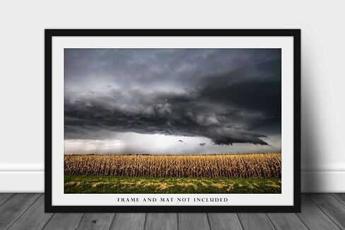 Country Photography Print (Not Framed) Picture of Storm Over Withered Corn Field on Stormy Autumn Day in Kansas Farm Wall Art Farmhouse Decor (12" x 18") in Saudi Arabia