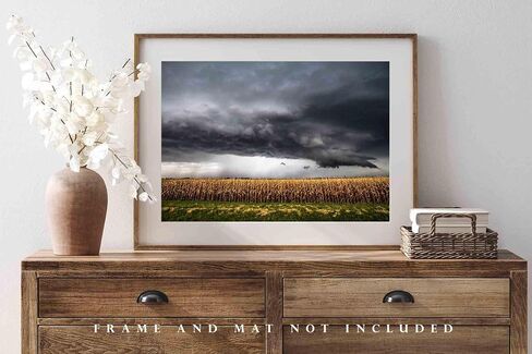 Country Photography Print (Not Framed) Picture of Storm Over Withered Corn Field on Stormy Autumn Day in Kansas Farm Wall Art Farmhouse Decor (12" x 18") in Saudi Arabia