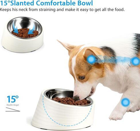 Tilted Angle Dog Bowl, 15° Slanted Stainless Steel Dog Cat Food Bowl, Non-Slip & Non-Spill Pet Feeder with Elevated Detachable Melamine Stand, Easy to Get Food Dog Dish, Small 0.5 Cup Black in Kuwait