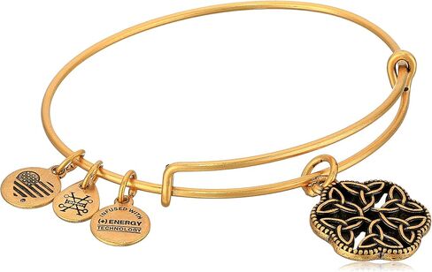 Alex and Ani Endless Knot III Bangle Bracelet in Saudi Arabia