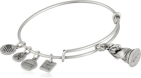 Alex and Ani The Knight Expandable Rafaelian Bangle Bracelet in Saudi Arabia