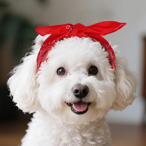 choyaxo 24pcs Bandanas Bulk Red Western Bandana Cowboy Bandanas Face Cover Head Wrap for daily Halloween Party in Saudi Arabia