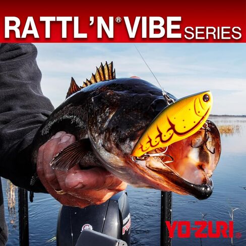 R1159-CSBL Rattl'n Vibe, Color, Black Silver, 55mm 2-1/8" in Saudi Arabia