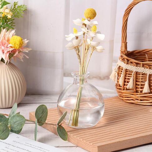 Tessco for you 12 Pcs Potion Bottles Round Glass Clear Potion Jars 8.5 oz Spherical Decorative Witch Bottles Wizard Stuff for Liquor Halloween Decoration DIY Art Crafts Gift (Classic) in Kuwait