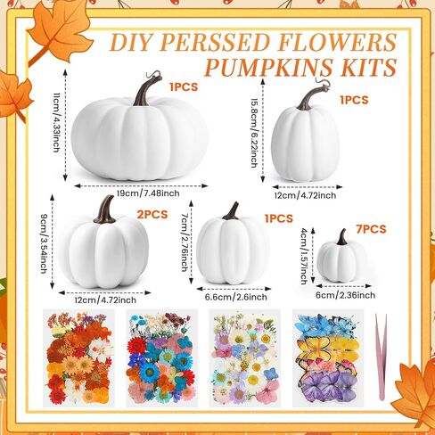 12 PCS قرع القرع الاصطناعي مع 150 جهاز كمبيوتر ملصقات فراشة مجففة و 1 مفيدة ملعقة DIY اليقطين لعيد الشكر مركزية الرف رف رف (أبيض) in Kuwait