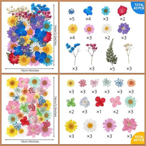 160 PCS زهور مضغوطة مجففة مع ملاقط للحرف اليدوية ، الزهور المجففة لحرف الراتنج لصنع المجوهرات لصنع الشموع لبطاقة الزفاف in Saudi Arabia