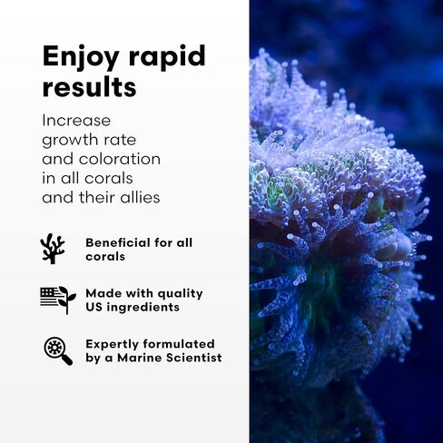 برايتويل أكواتيكس كورال أمينو - مركب الأحماض الأمينية لتلوين ونمو المرجان، 60 مل in Kuwait