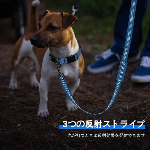 مقود الكلاب الآمن المزود بإضاءة LED - حبل ضوء وامض قابل لإعادة الشحن عبر USB بطول 5 أقدام - مقاود عاكسة مقاومة للماء للحيوانات الأليفة - مقود يتوهج في الظلام للمشي ليلاً (أزرق) in Kuwait