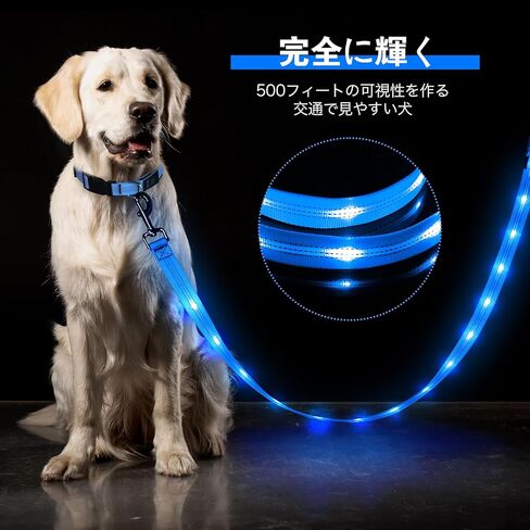 مقود الكلاب الآمن المزود بإضاءة LED - حبل ضوء وامض قابل لإعادة الشحن عبر USB بطول 5 أقدام - مقاود عاكسة مقاومة للماء للحيوانات الأليفة - مقود يتوهج في الظلام للمشي ليلاً (أزرق) in Kuwait