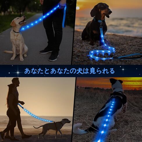 مقود الكلاب الآمن المزود بإضاءة LED - حبل ضوء وامض قابل لإعادة الشحن عبر USB بطول 5 أقدام - مقاود عاكسة مقاومة للماء للحيوانات الأليفة - مقود يتوهج في الظلام للمشي ليلاً (أزرق) in Kuwait