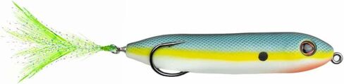 Zoo Dog Topwater Lure in Saudi Arabia