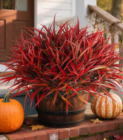 Ivydale 12Pcs Fake Plants Outdoor Artificial Plastic Grass Spring Decoration UV Resistant Faux Greenery Stems Bushes Outside Fake Plants for Planters Patio Porch Window Box Pathway Garden Home Decor in Saudi Arabia