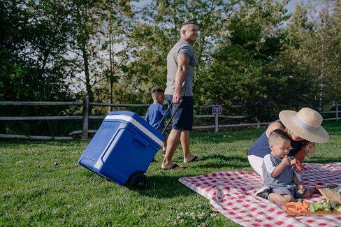 Igloo Red Profile II 60 Roller in Kuwait