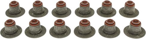 Intake and Exhaust Engine Valve Stem Oil Seal Set Compatible With Jeep Liberty 3.7L V6 2012 2011 2010 2009 2008 2007 2006 2005 2004 2003 2002 P-2710115 in Saudi Arabia