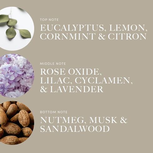 Aroma360 | Disney Reflection Pro- Pod Fragrance Oil Blend | Disney Princess Mulan | Luxury Essential Diffuser Oil | Aromatherapy Scent Diffuser Oil | Bergamot, Nutmeg and Jasmine 1.7 fl oz 50mL in Kuwait