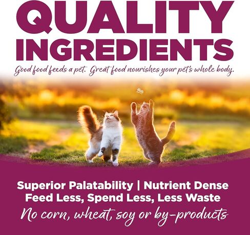 Tuffy'S Pet Food 131542 Nutri Cat/Kitten Chicken/Rice Dry Food, 1.5-Pound in Kuwait