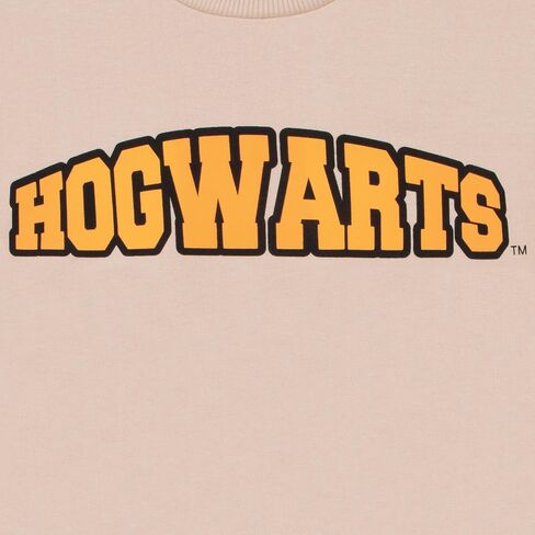 Harry Potter Sweater And Pants, Hogwarts Boys Sweatshirt And Sweatpants, Cotton Boys Outfit Set, Hogwarts Kids Outfits in Saudi Arabia