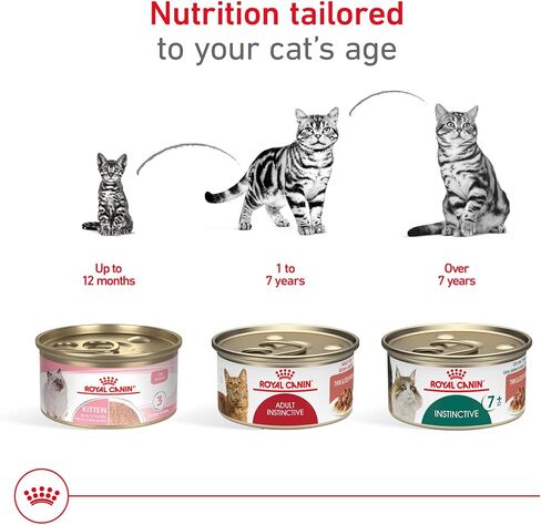 Royal Canin® Feline Health Nutrition™ طعام القطط المعلب ذو الشرائح الرفيعة الغريزية للبالغين في المرق، علبة 3 أونصة (18 قطعة) in Kuwait