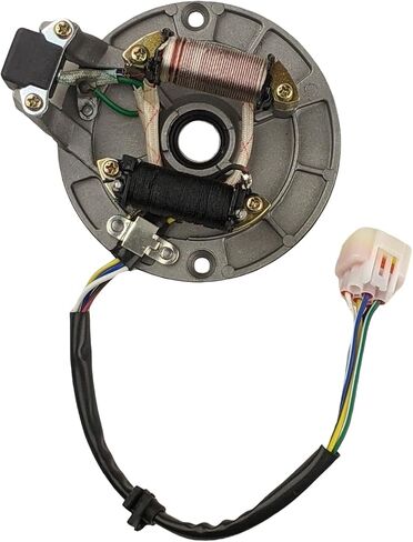 Redcap 2-Coil 5-Wire Stator Magneto مع صفيحة لـ 50cc 70cc 90cc 110cc 125cc Quad Dirt Dirt Bike 4-Wheeler Scooter بديل لـ Taotao Kazuma SSR Baja Coolster in Kuwait