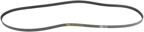 Serpentine Belt in Saudi Arabia