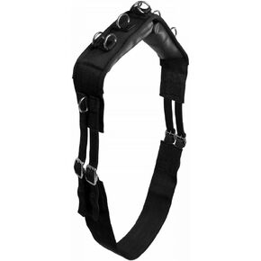 HORZE Lunging Surcingle for Horses | Nylon Roller for Training