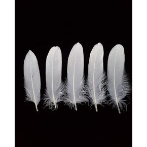 HAPPY FEATHER 40PCS 5-7 inch Goose Feathers for Crafts, DIY, Dream Catchers, Party Decorations Accessories-Pink