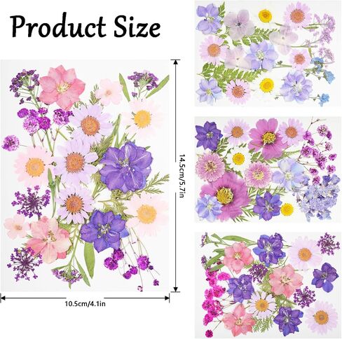 Pressed Flowers Bulk Dried Pressed Flowers for Resin Crafts Real Dry Leaves Natural Herbs Kit with Tweezer for Scrapbooking DIY Art Crafts Candle Making Nails Floral Décor(Bright Color) in Saudi Arabia