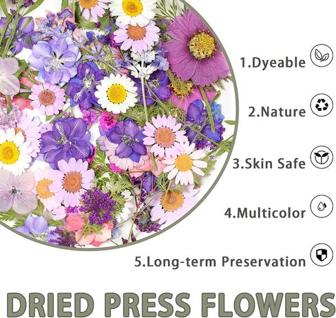 Pressed Flowers Bulk Dried Pressed Flowers for Resin Crafts Real Dry Leaves Natural Herbs Kit with Tweezer for Scrapbooking DIY Art Crafts Candle Making Nails Floral Décor(Bright Color) in Saudi Arabia