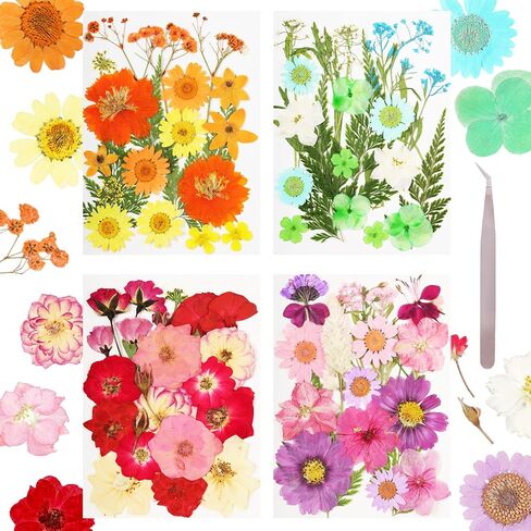 Pressed Flowers Bulk Dried Pressed Flowers for Resin Crafts Real Dry Leaves Natural Herbs Kit with Tweezer for Scrapbooking DIY Art Crafts Candle Making Nails Floral Décor(Bright Color) in Saudi Arabia