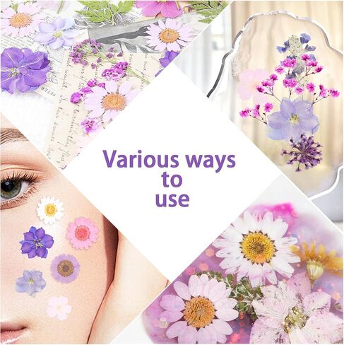 Pressed Flowers Bulk Dried Pressed Flowers for Resin Crafts Real Dry Leaves Natural Herbs Kit with Tweezer for Scrapbooking DIY Art Crafts Candle Making Nails Floral Décor(Bright Color) in Saudi Arabia