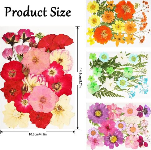 Pressed Flowers Bulk Dried Pressed Flowers for Resin Crafts Real Dry Leaves Natural Herbs Kit with Tweezer for Scrapbooking DIY Art Crafts Candle Making Nails Floral Décor(Bright Color) in Saudi Arabia