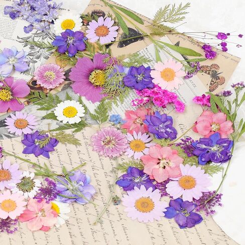 Pressed Flowers Bulk Dried Pressed Flowers for Resin Crafts Real Dry Leaves Natural Herbs Kit with Tweezer for Scrapbooking DIY Art Crafts Candle Making Nails Floral Décor(Bright Color) in Saudi Arabia
