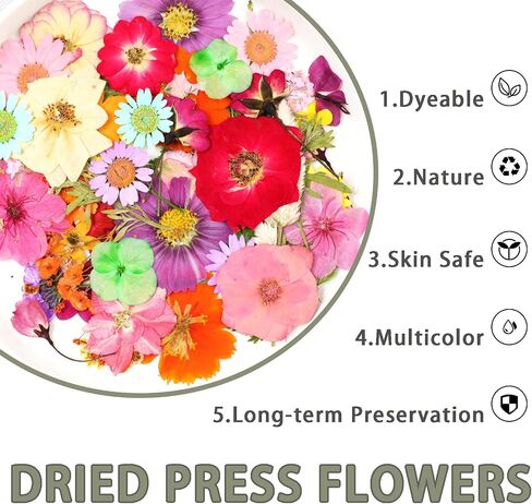 Pressed Flowers Bulk Dried Pressed Flowers for Resin Crafts Real Dry Leaves Natural Herbs Kit with Tweezer for Scrapbooking DIY Art Crafts Candle Making Nails Floral Décor(Bright Color) in Saudi Arabia