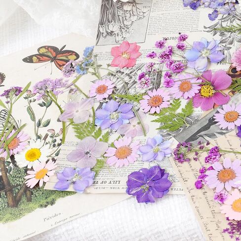 Pressed Flowers Bulk Dried Pressed Flowers for Resin Crafts Real Dry Leaves Natural Herbs Kit with Tweezer for Scrapbooking DIY Art Crafts Candle Making Nails Floral Décor(Bright Color) in Saudi Arabia