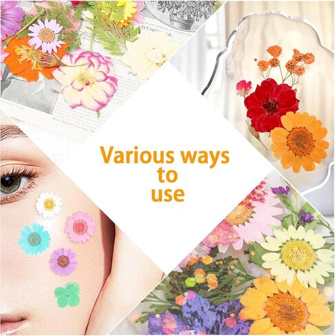 Pressed Flowers Bulk Dried Pressed Flowers for Resin Crafts Real Dry Leaves Natural Herbs Kit with Tweezer for Scrapbooking DIY Art Crafts Candle Making Nails Floral Décor(Bright Color) in Saudi Arabia