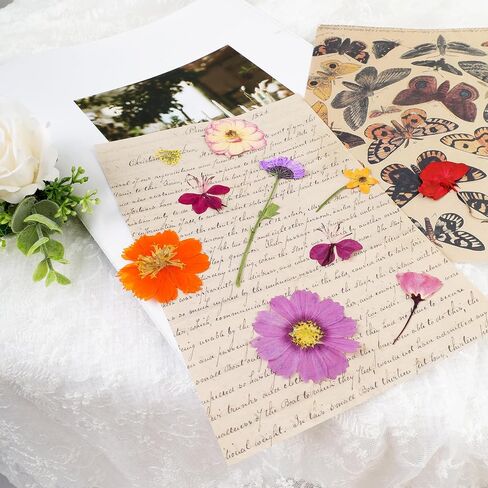 Pressed Flowers Bulk Dried Pressed Flowers for Resin Crafts Real Dry Leaves Natural Herbs Kit with Tweezer for Scrapbooking DIY Art Crafts Candle Making Nails Floral Décor(Bright Color) in Saudi Arabia