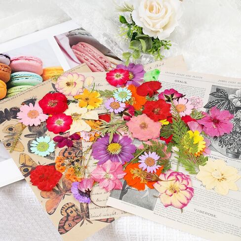 Pressed Flowers Bulk Dried Pressed Flowers for Resin Crafts Real Dry Leaves Natural Herbs Kit with Tweezer for Scrapbooking DIY Art Crafts Candle Making Nails Floral Décor(Bright Color) in Saudi Arabia