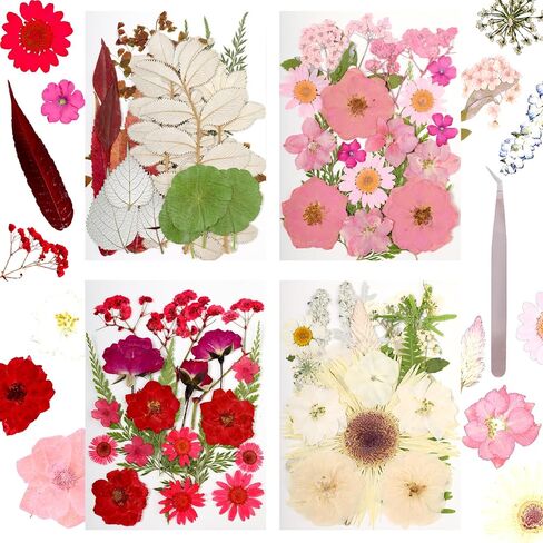Pressed Flowers Bulk Dried Pressed Flowers for Resin Crafts Real Dry Leaves Natural Herbs Kit with Tweezer for Scrapbooking DIY Art Crafts Candle Making Nails Floral Décor(Bright Color) in Saudi Arabia