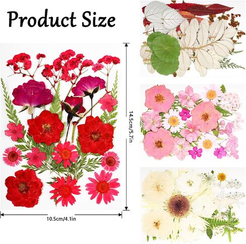 Pressed Flowers Bulk Dried Pressed Flowers for Resin Crafts Real Dry Leaves Natural Herbs Kit with Tweezer for Scrapbooking DIY Art Crafts Candle Making Nails Floral Décor(Bright Color) in Saudi Arabia