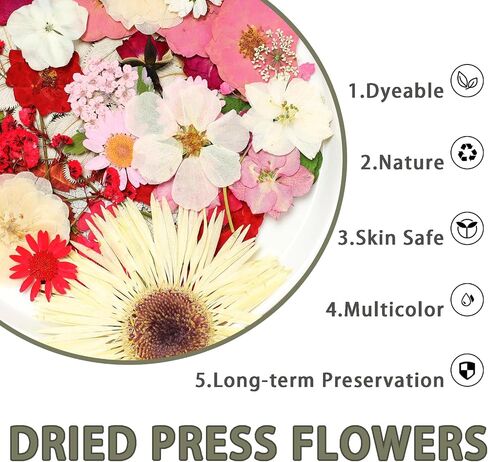 Pressed Flowers Bulk Dried Pressed Flowers for Resin Crafts Real Dry Leaves Natural Herbs Kit with Tweezer for Scrapbooking DIY Art Crafts Candle Making Nails Floral Décor(Bright Color) in Saudi Arabia
