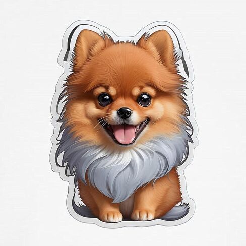CafePress Pomeranian Dog Underwear, Womens Panties in Saudi Arabia