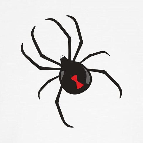 Cafepress Spider Classic Thong Intonder ، سراويل داخلية للسيدات in Kuwait