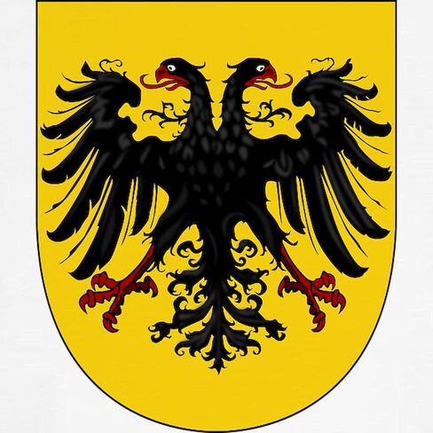 Cafepress الإمبراطورية الرومانية المقدسة بعد 1368 الأطفال البيسبول جيرسي جيرسي كوتون بيسبول جيرسي ، 3/4 قميص راجلان. in Saudi Arabia