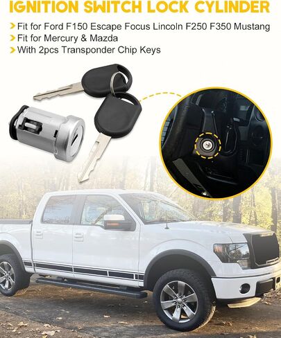 اسطوانة قفل مفتاح الإشعال مع مفاتيح رقائق مستجيب 2PC من فورد F150 F250 F350 Escape Focus Lincoln Mustang Mercury Mazda ، استبدال 924-717 4L3Z11582BB in Kuwait