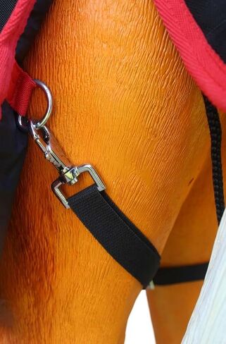 CHALLENGER 36" 600D Miniature Weanling Donkey Pony Horse Foal Winter Blanket 51946 in Saudi Arabia