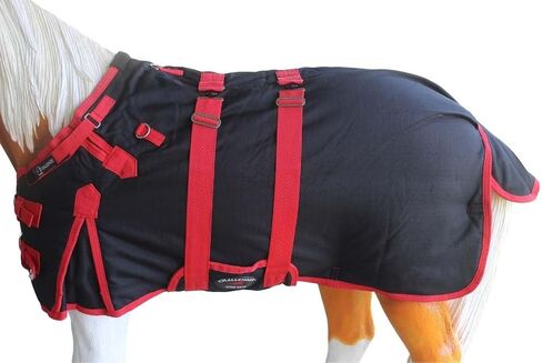 CHALLENGER 36" 600D Miniature Weanling Donkey Pony Horse Foal Winter Blanket 51946 in Saudi Arabia