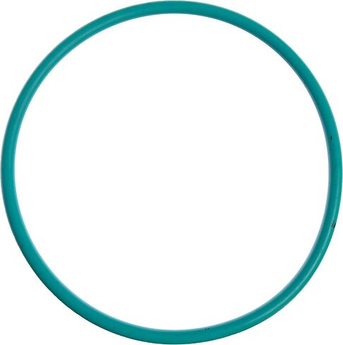 APDTY 160340 مضخة الوقود ومستوى إرسال وحدة إلى خزان الغاز O حلقة ORING OR RING SEAL in Saudi Arabia